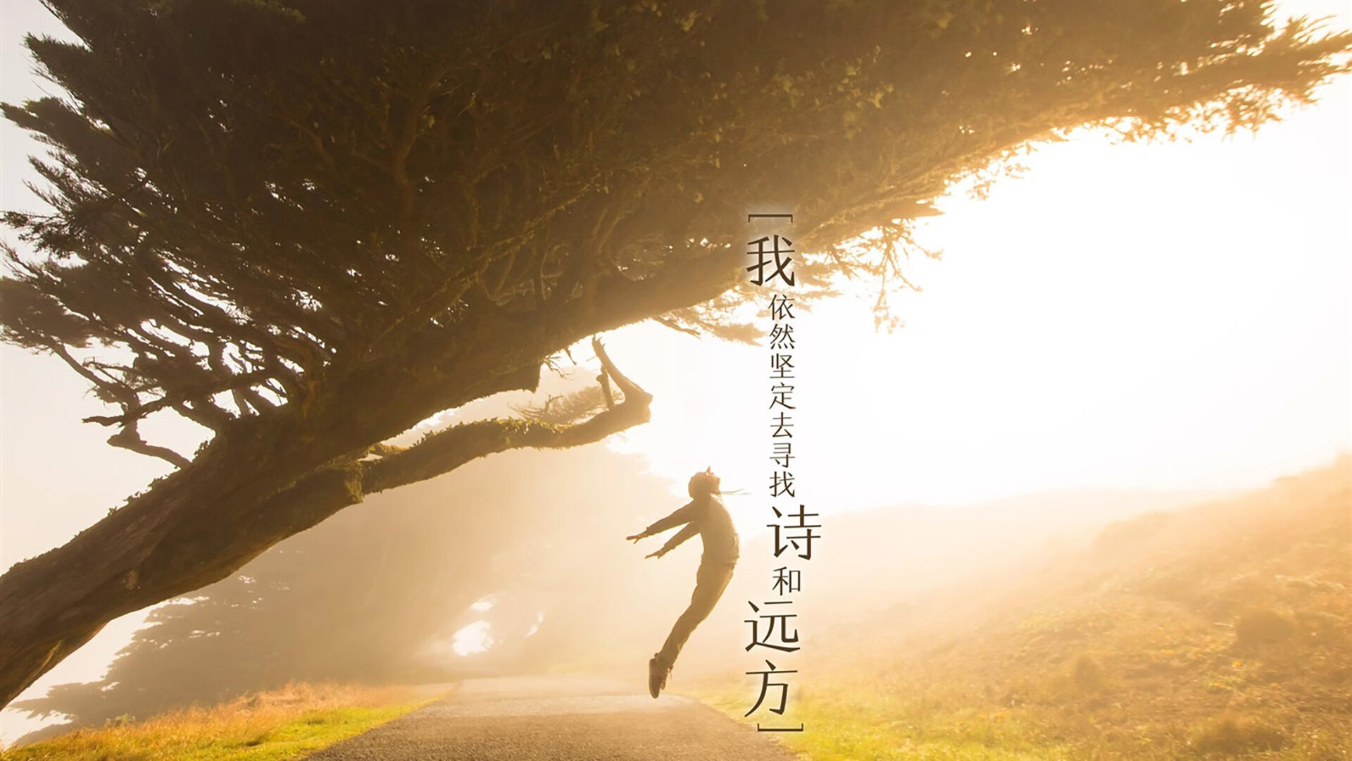 传奇不落幕,马龙一板定江山,中国队长夜横扫东瀛