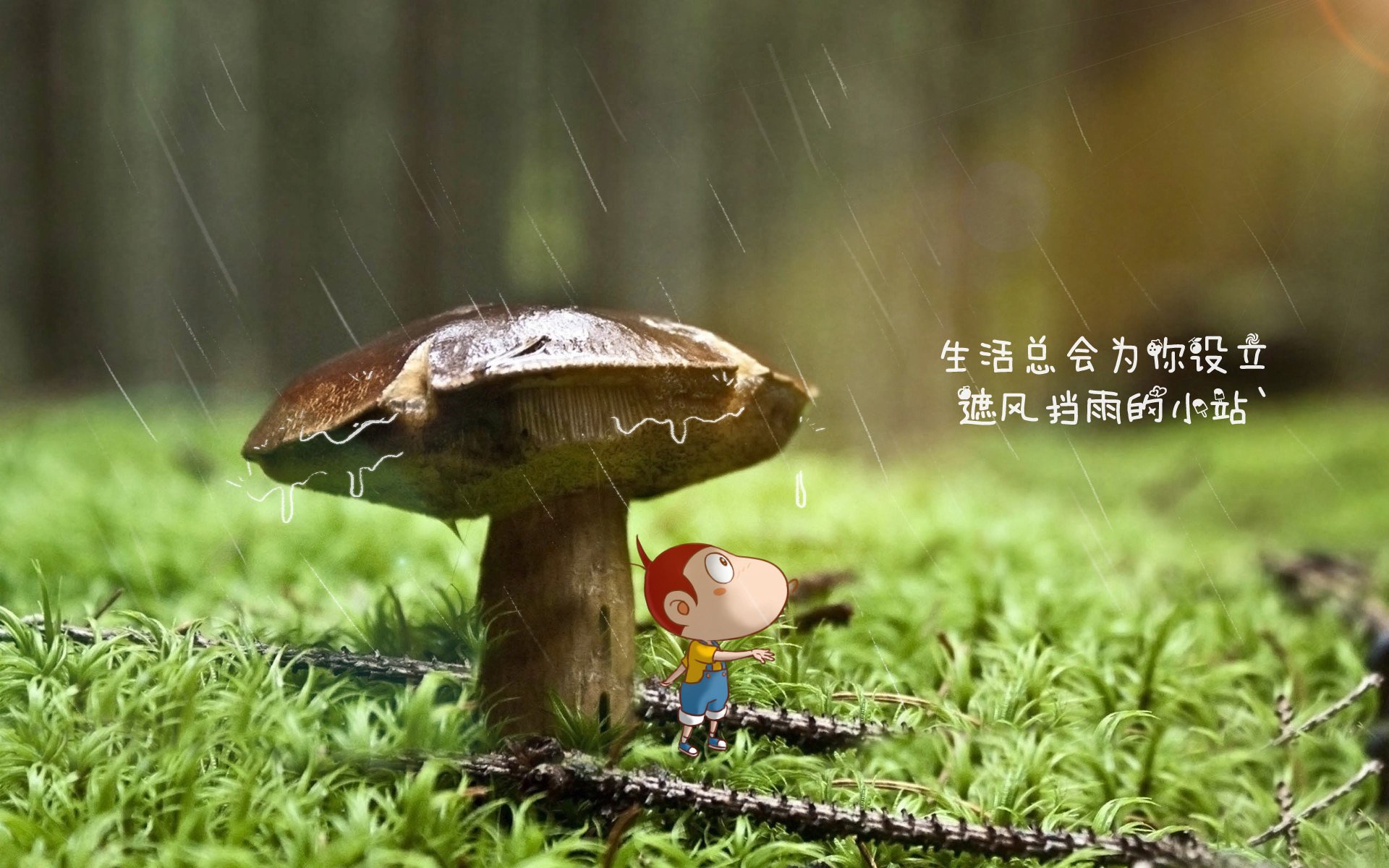 唯一的主宰，当阿隆索在铃鹿赛道为阿斯顿马丁写下不可复制的胜利诗篇