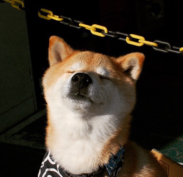 南美旋风席卷亚平宁，阿森纳新星萨卡导演逆转好戏