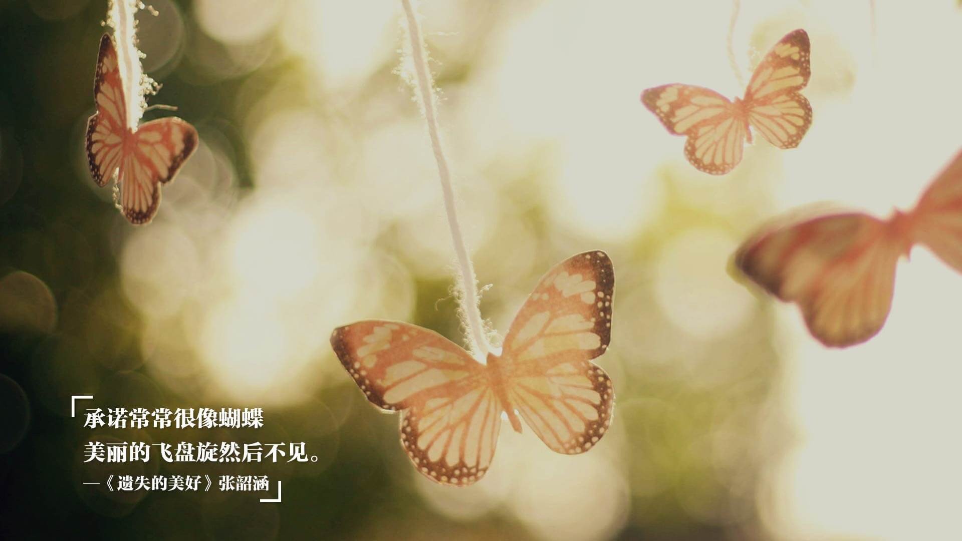 时空重叠的篮筐,当鹈鹕对决尼克斯时,约基奇的影子如何改变一切