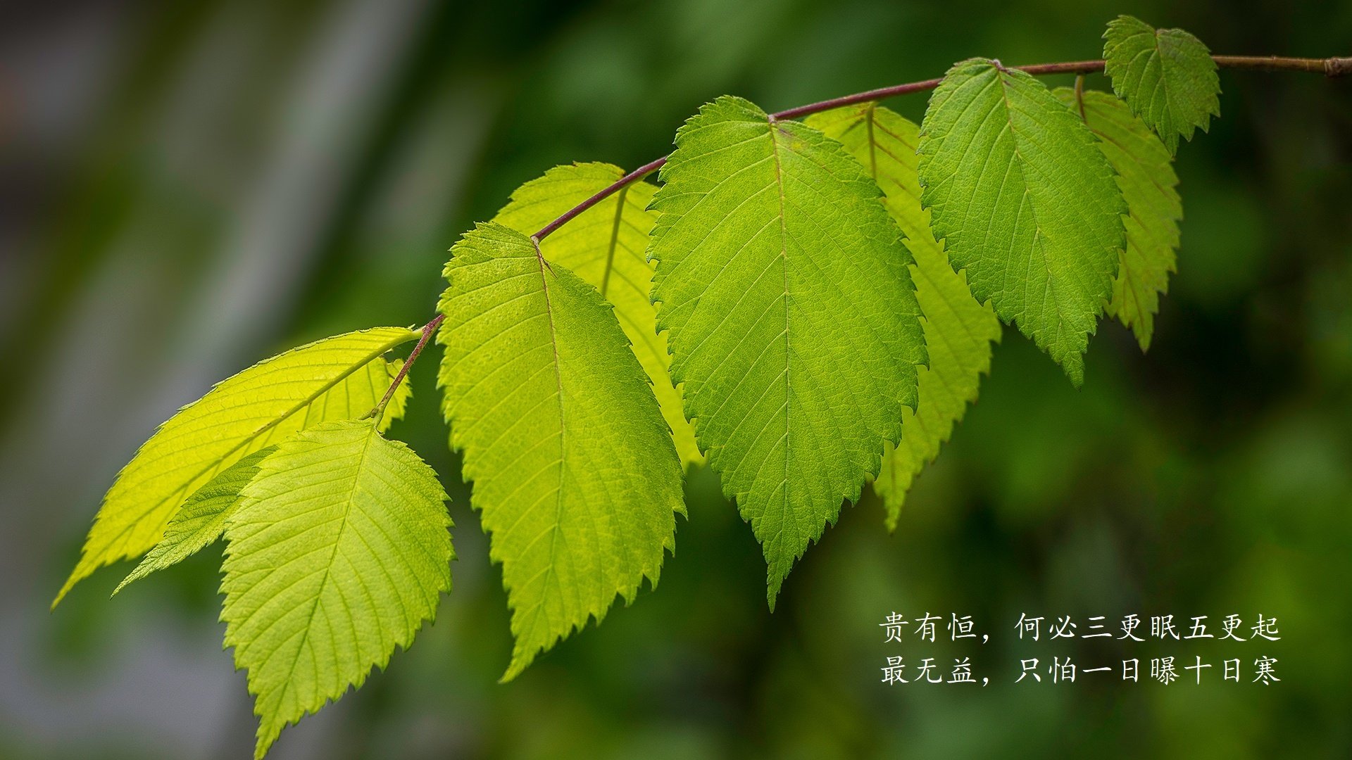 皮克关键接管引爆奥运战场，墨西哥强势晋级芬兰创历史