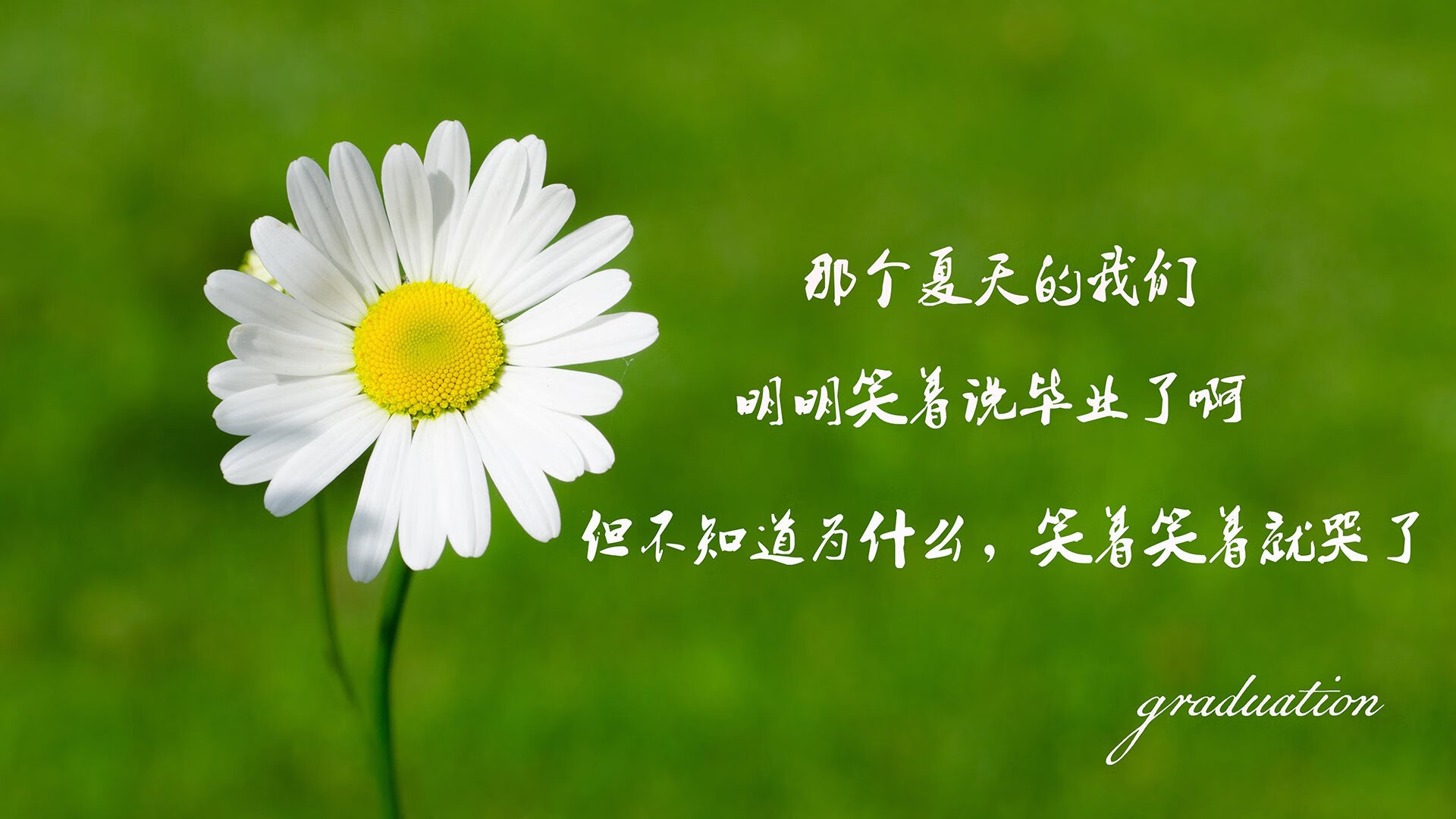 当防御本身成了破绽，莱奥如何以持续杀伤改写德甲争冠战之夜