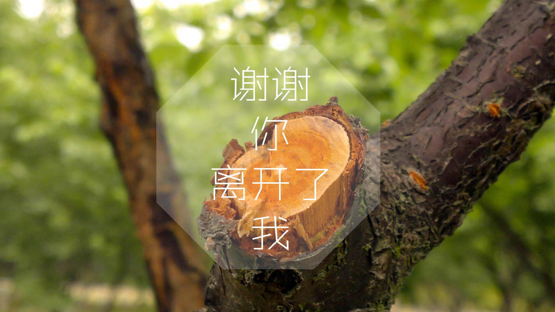 铁骑破晓，斯洛伐克钢铁防线碾碎波斯铁骑，塔雷米的孤独救赎与2026世界杯最惨烈一役