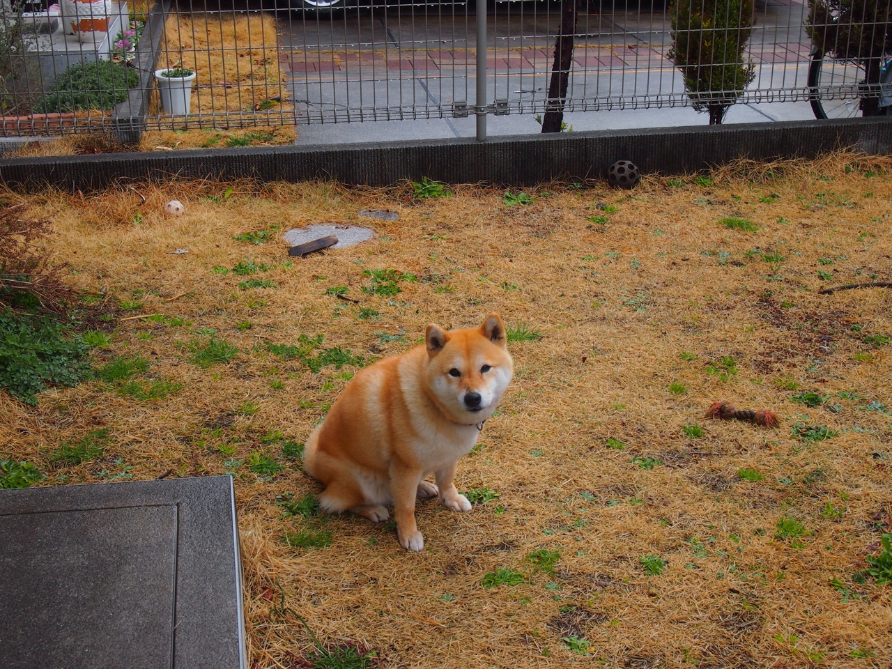 卢浮宫的逆袭，当印度遇上英格兰，B费用一脚长传撕裂了足球世界的既定剧本
