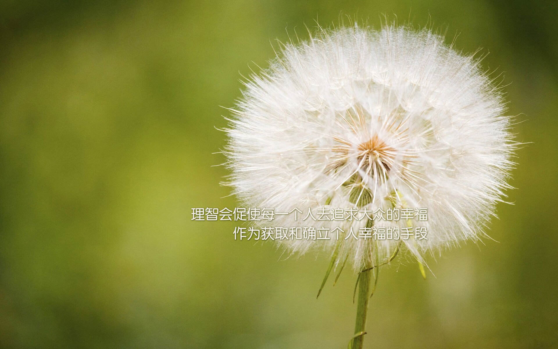 冰与火的终章，2026世界杯F组，德意志逆转之夜，德布劳内一剑封喉
